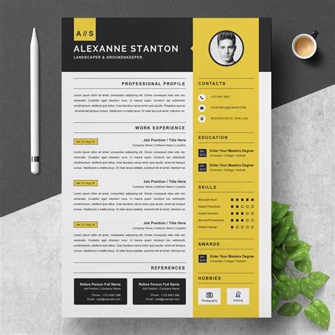 resume examples design