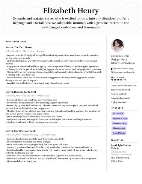 resume summary for server