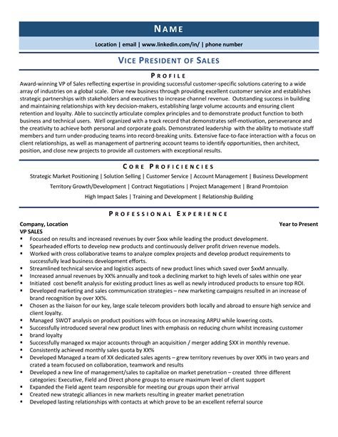 sales vp resume